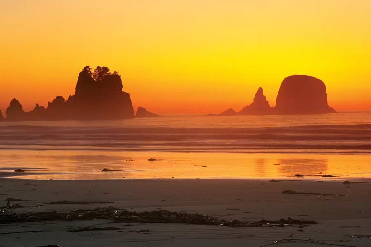 Vibrant Twilight, Point Of Arches, Shi Shi Beach, Olympic National Park, Washington, USA