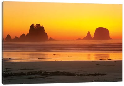 Vibrant Twilight, Point Of Arches, Shi Shi Beach, Olympic National Park, Washington, USA Canvas Art Print - Olympic National Park Art