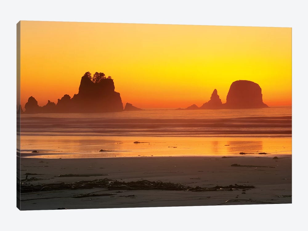 Vibrant Twilight, Point Of Arches, Shi Shi Beach, Olympic National Park, Washington, USA by Rob Tilley 1-piece Canvas Art