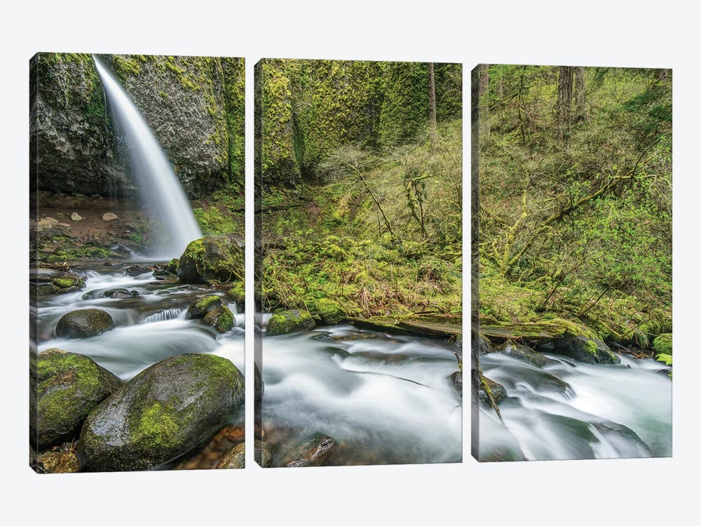 USA, Oregon, Columbia River Gorge, Ponytail Falls by Rob Tilley 3-piece Canvas Print