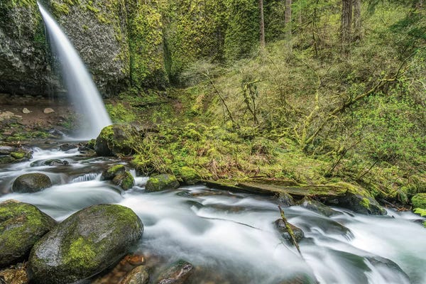 Oregon: USA, Oregon, Columbia River Gorge, Ponytail Falls by Rob Tilley