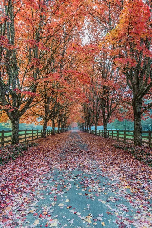 USA, Washington State, Snoqualmie. Autumn country lane.