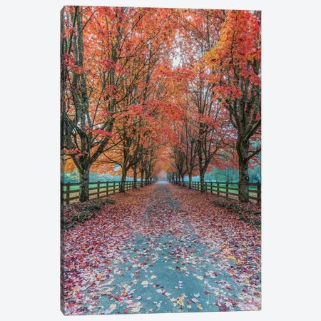 USA, Washington State, Snoqualmie. Autumn country lane. Canvas Print #RTI39} by Rob Tilley Art Print