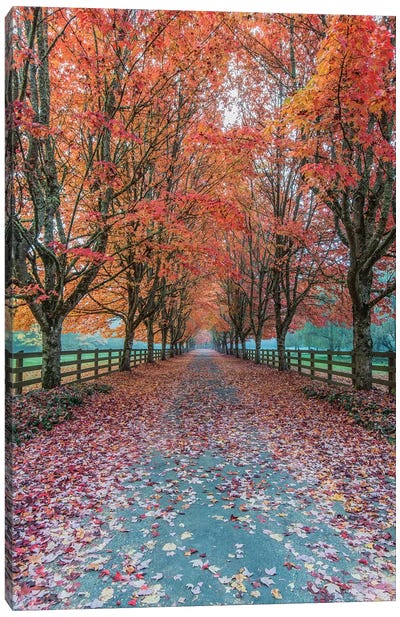 USA, Washington State, Snoqualmie. Autumn country lane. Canvas Art Print