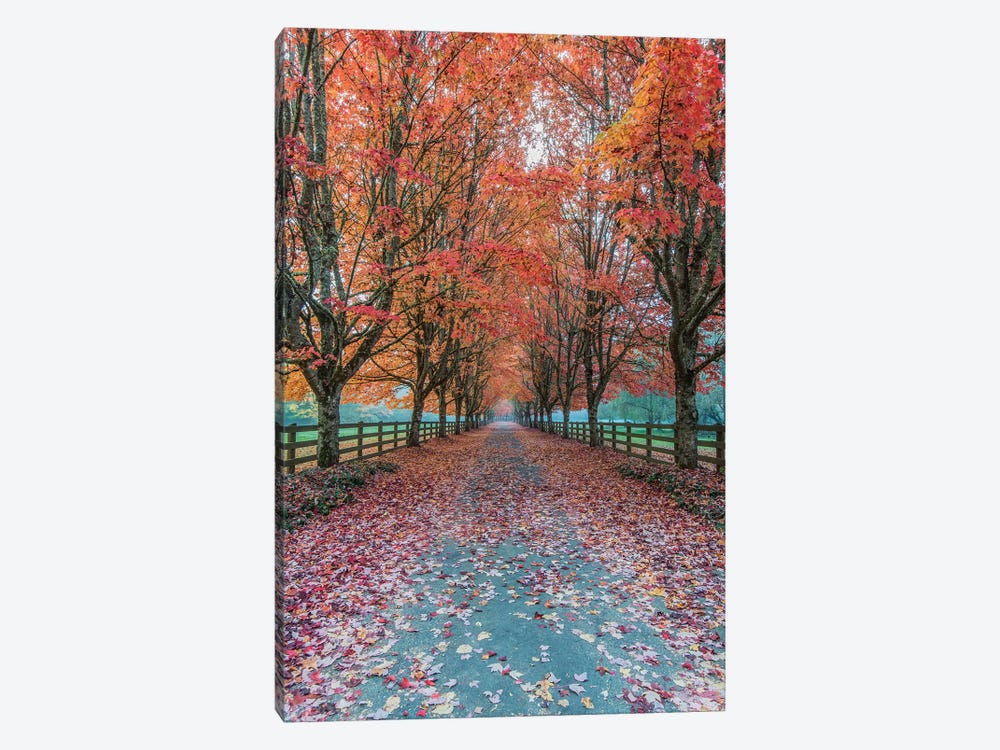 USA, Washington State, Snoqualmie. Autumn country lane. by Rob Tilley 1-piece Art Print
