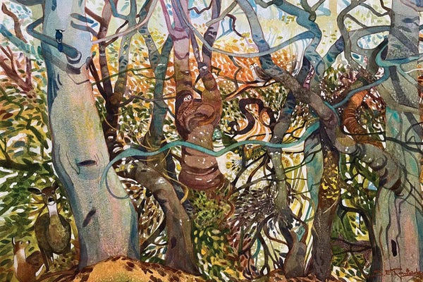 Intricate Watercolors: Into The Woods We Go by Susan E. Routledge