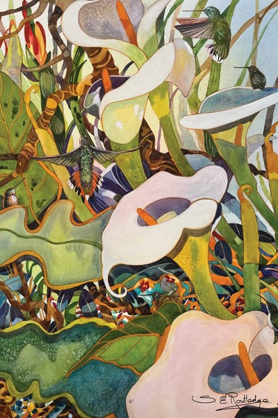 Calla Lilies: The Lily Patch by Susan E. Routledge
