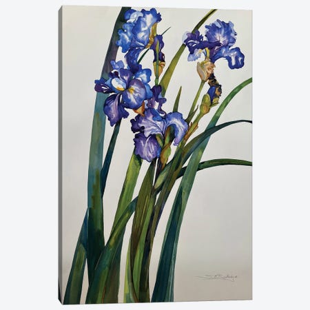 Iris Canvas Print #RTL103} by Susan E. Routledge Canvas Art