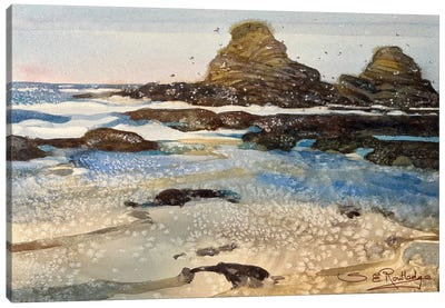 Cooks Beach Canvas Art Print - Contemporary Coastal