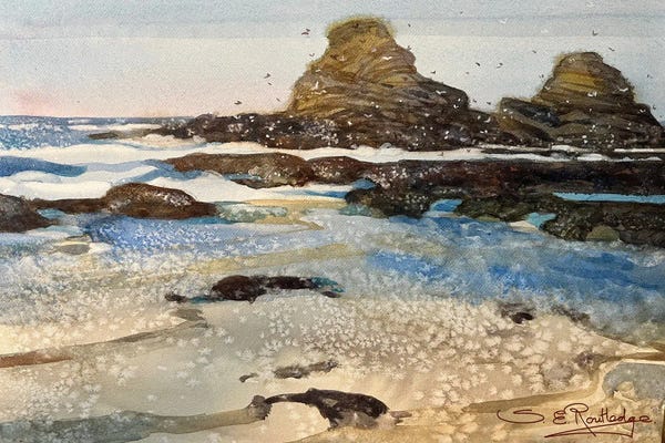 Contemporary Coastal: Cooks Beach by Susan E. Routledge