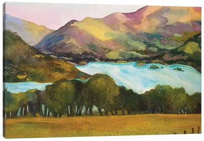 Lakeland Pasture Canvas Art Print - Similar to Georgia O'Keeffe