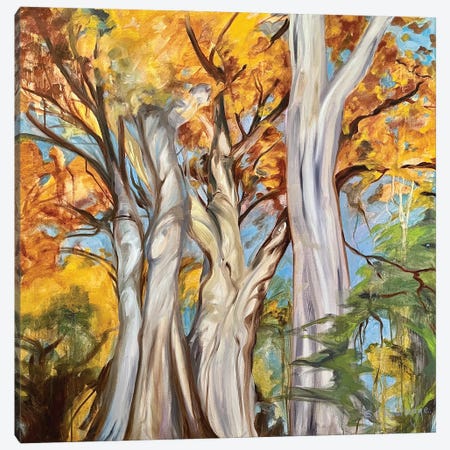 Cottonwoods Canvas Print #RTL117} by Susan E. Routledge Canvas Art