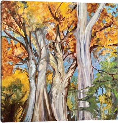 Cottonwoods Canvas Art Print - Susan E. Routledge
