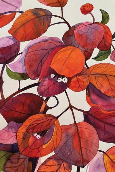 Similar To Georgia O'Keeffe: Bougainvillea by Susan E. Routledge