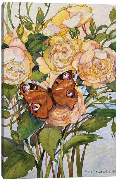 Butterfly Visit Canvas Art Print - Susan E. Routledge