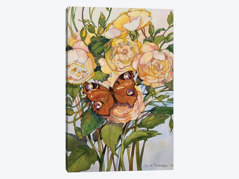 Butterfly Visit by Susan E. Routledge 1-piece Canvas Art Print