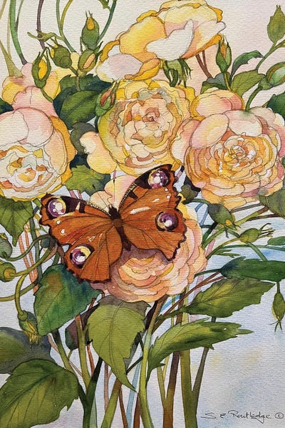 Butterflies and Flowers: Butterfly Visit by Susan E. Routledge