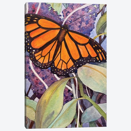 Butterfly Bush Canvas Print #RTL123} by Susan E. Routledge Canvas Art