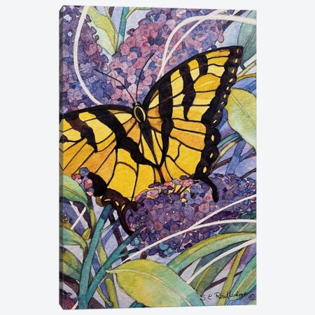 Morning Butterfly Canvas Print #RTL124} by Susan E. Routledge Canvas Art Print
