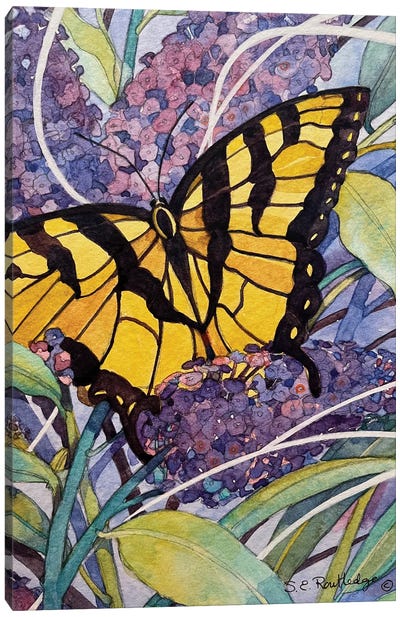 Morning Butterfly Canvas Art Print - Lilac Art