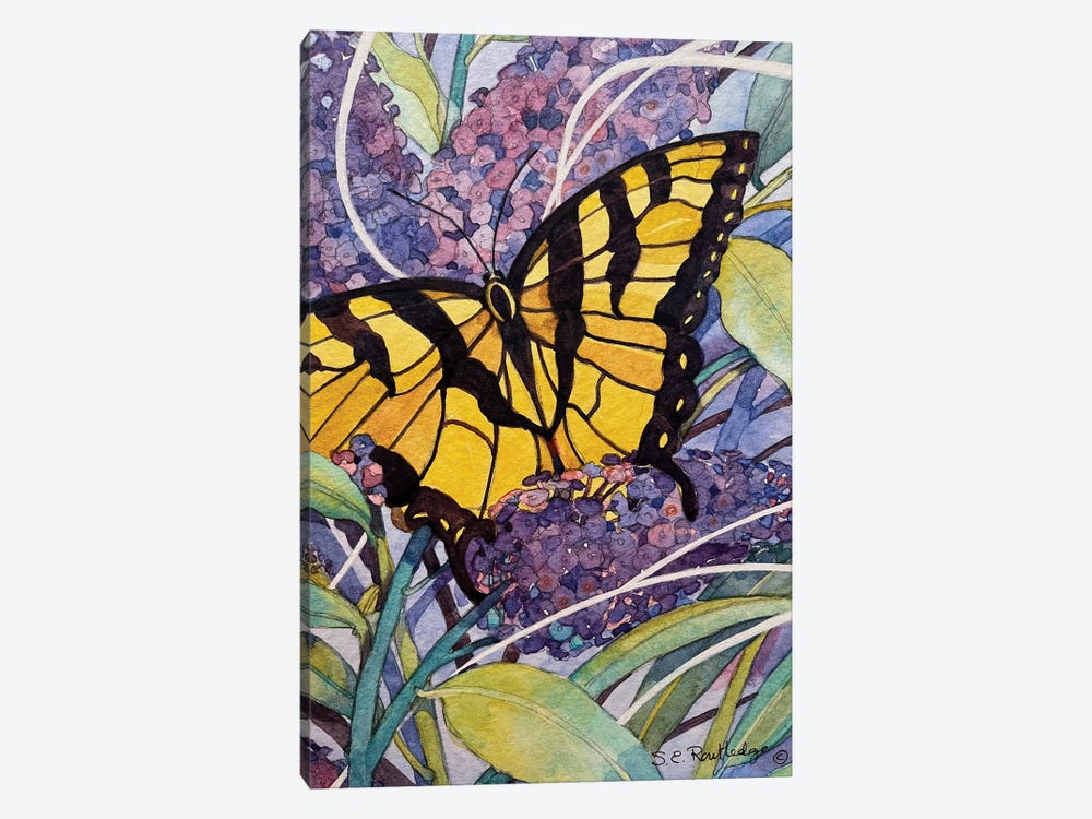 Morning Butterfly by Susan E. Routledge 1-piece Canvas Art Print