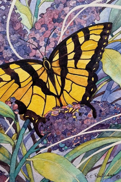 Butterflies and Flowers: Morning Butterfly by Susan E. Routledge