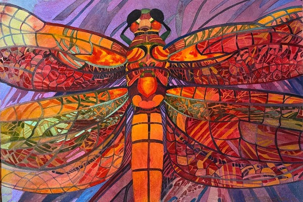 Dragonflies: Red Dragon by Susan E. Routledge