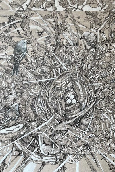 Dragonflies: Protected by Susan E. Routledge