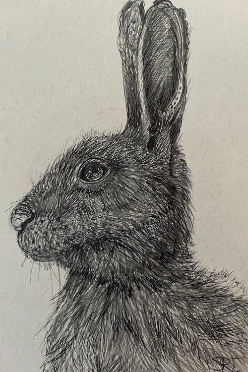 Hare