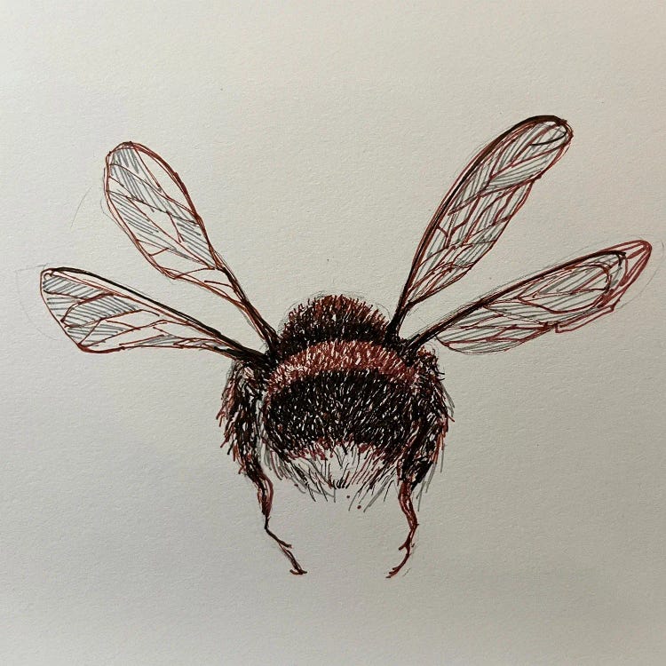 Bumble Bee by Susan E. Routledge wall art