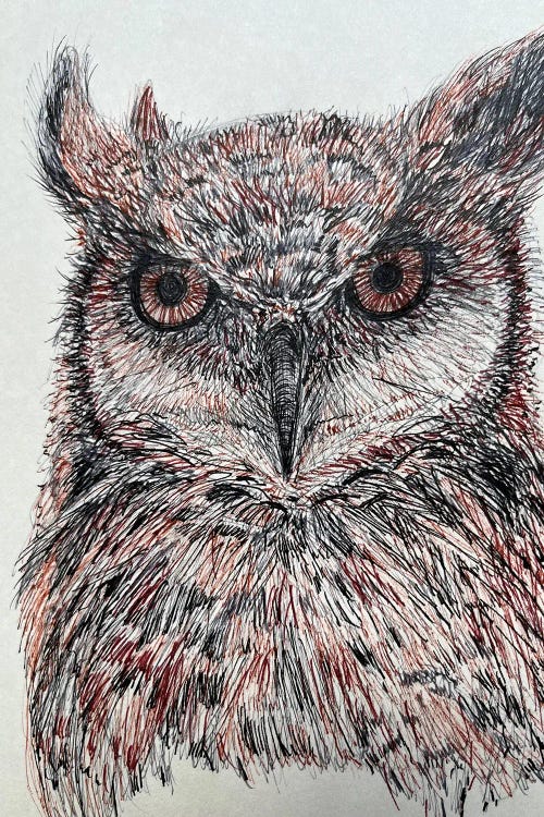 Great Horned Owl by Susan E. Routledge wall art