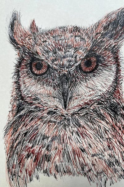 Animal Lover: Great Horned Owl by Susan E. Routledge