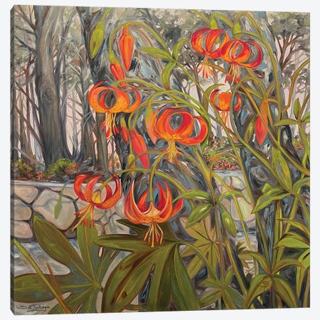California Millard's Tigers Canvas Print #RTL19} by Susan E. Routledge Canvas Art