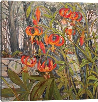California Millard's Tigers Canvas Art Print - Susan E. Routledge