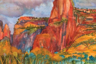 Canyon Storm by Susan E. Routledge art print