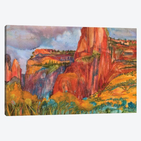 Canyon Storm Canvas Print #RTL27} by Susan E. Routledge Canvas Artwork