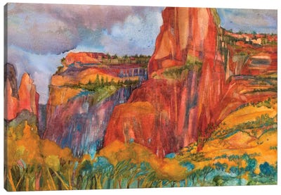 Canyon Storm Canvas Art Print - Susan E. Routledge