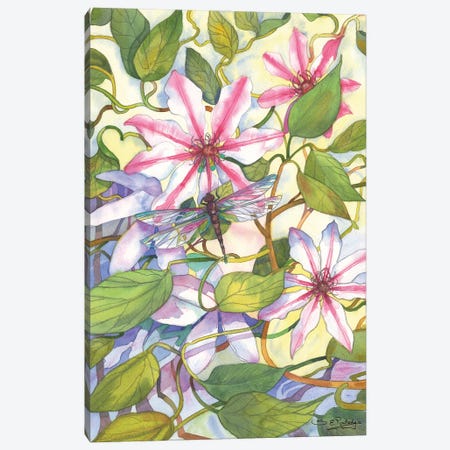 Cleamtis And Dragonfly Canvas Print #RTL30} by Susan E. Routledge Canvas Wall Art