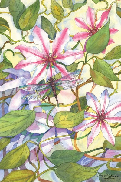 Susan E. Routledge: Cleamtis And Dragonfly by Susan E. Routledge