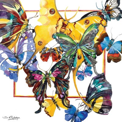 Escape From The Box by Susan E. Routledge canvas print