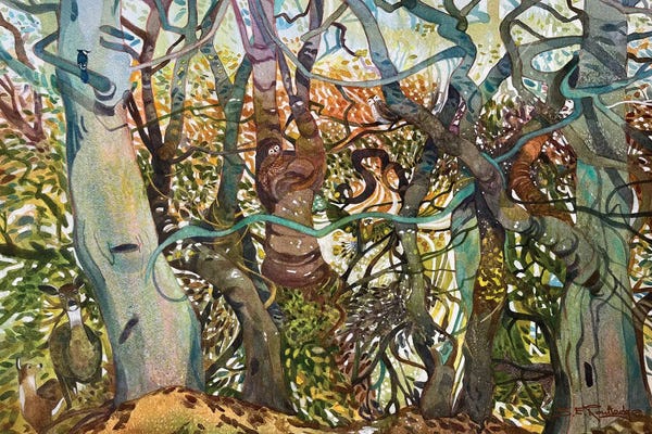 Intricate Watercolors: Into The Woods We Go by Susan E. Routledge