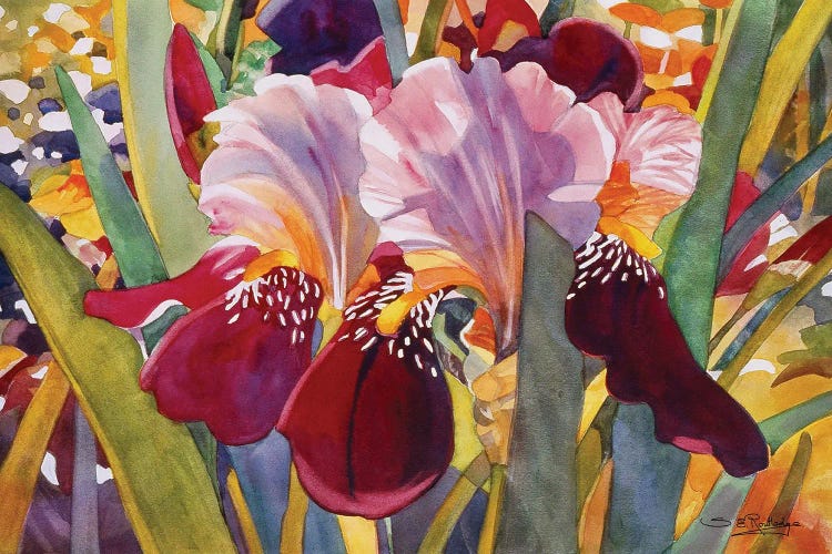 Iris by Susan E. Routledge wall art