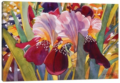 Iris Canvas Art Print - Susan E. Routledge