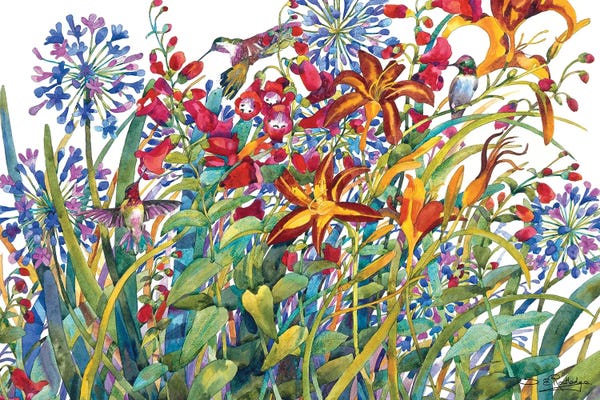 Wildflowers: Summer Garden by Susan E. Routledge