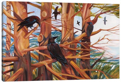 Tree Tops Canvas Art Print - Raven Art