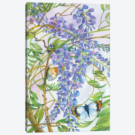 Wisteria And Butterfly Canvas Print #RTL81} by Susan E. Routledge Canvas Print