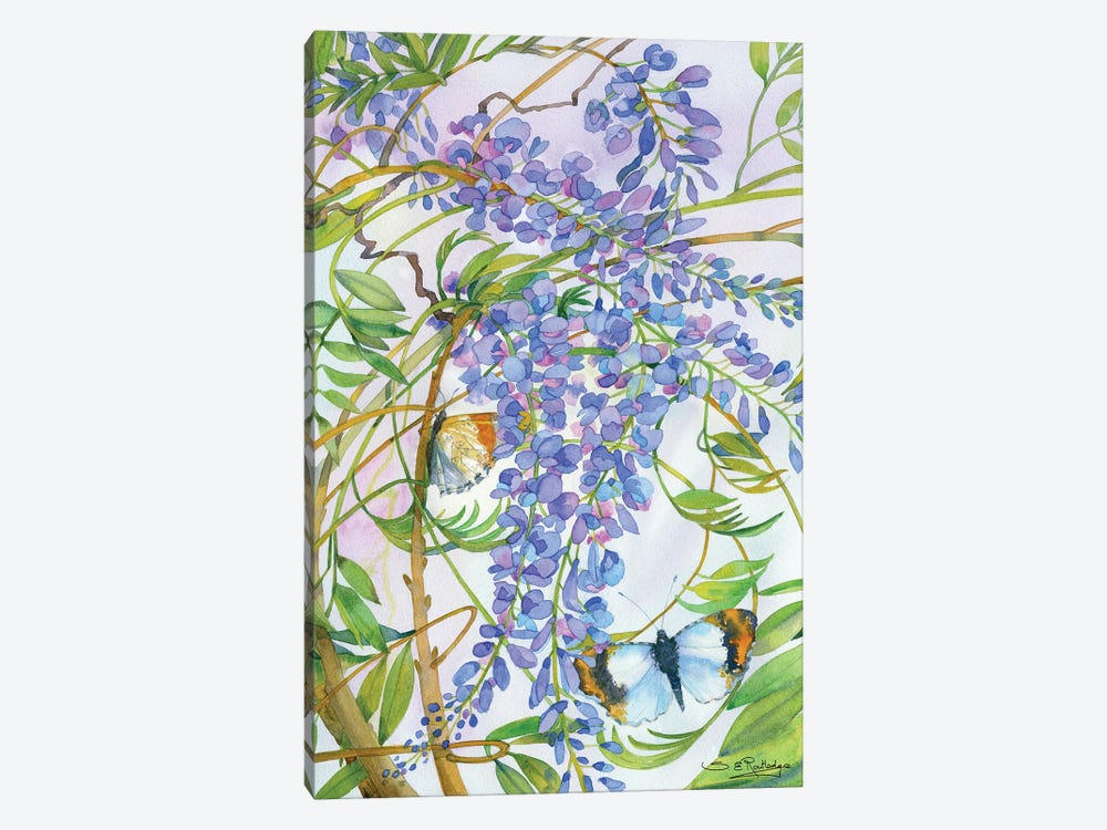 Wisteria And Butterfly by Susan E. Routledge 1-piece Canvas Art