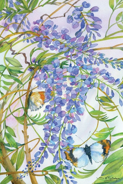 Butterflies and Flowers: Wisteria And Butterfly by Susan E. Routledge