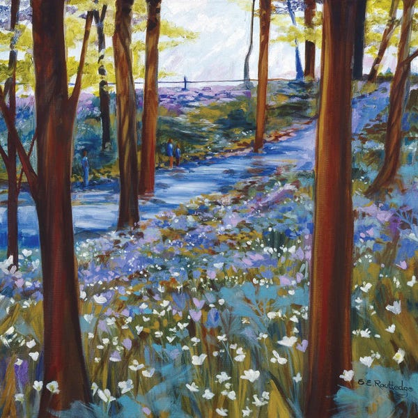 Bluebonnets: Blue Bell Wood by Susan E. Routledge