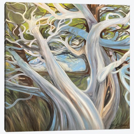 The Life Of Trees Canvas Print #RTL90} by Susan E. Routledge Canvas Artwork